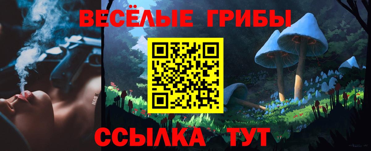 Галлюциногенные грибы Psilocybine cubensis Кинель