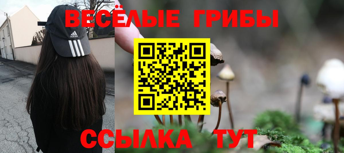 Галлюциногенные грибы Psilocybine cubensis  Галлюциногенные грибы прущие грибы  Вход с VPN  Кинель 